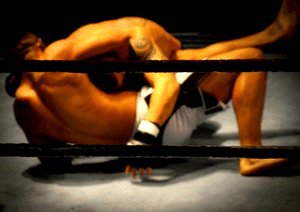 The best grappling dummy training translates to premium octagon performance Best Grappling Dummy